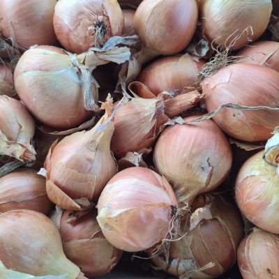 Oignon jaune - 500 gr