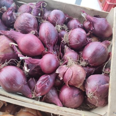 oignon rouge - 500 gr