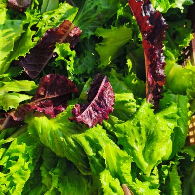 Mélange salade - 250gr